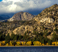 Aspens on June Lake