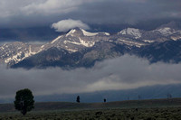 Fog and storm clouds, Tetons