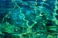 crystal clear lake with fallen trees