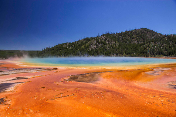 Hot springs with colorful bacteria mat, Yellowstone